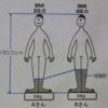 BMIとは【計算方法、男女の標準値、体脂肪率との違い】